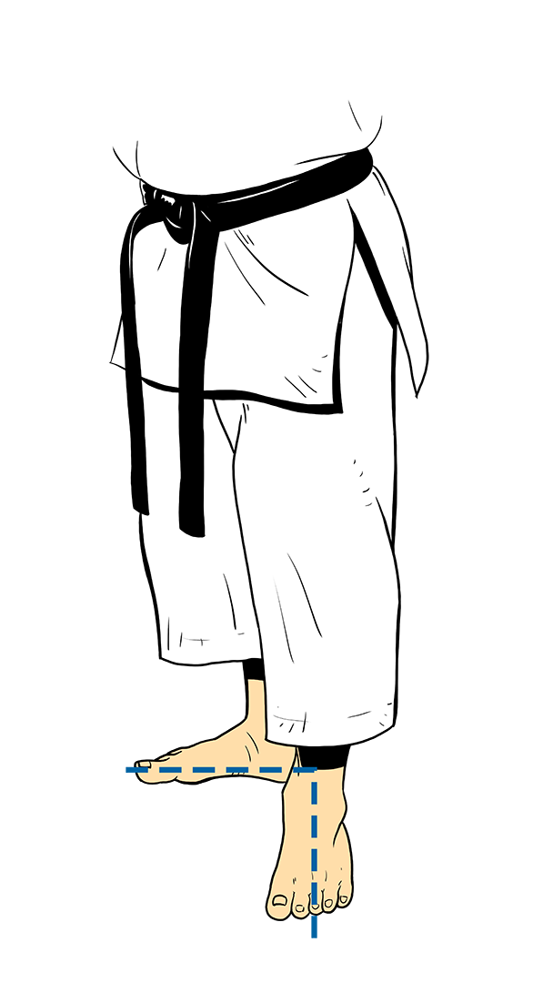 RENOJI DACHI RENOJI DACHI
